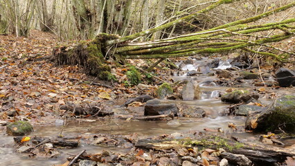 Unterwegs am Lautenbach bei Grimburg