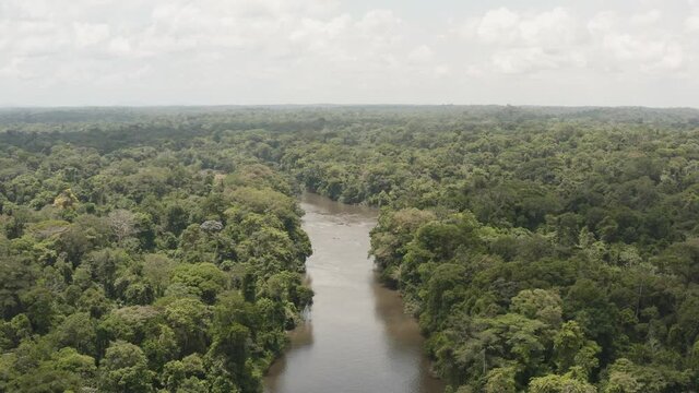 Over the river on the Amazonian forest