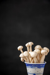 Close-up of Chinese bowl with white shimeji mushrooms, with selective focus, on dark background, in vertical, with copy space
