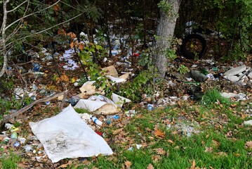 Green forest beautifull nature behavior human synthetic rubbish plastic bottles papers background