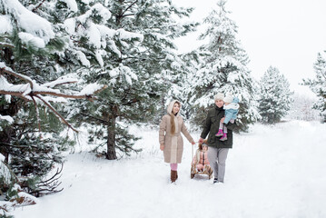 Young dad and mom are sledding their daughters in a winter snowy forest
