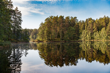 Fototapeta na wymiar Beautiful forest lake surrounded by pine trees. Reflection in the water.