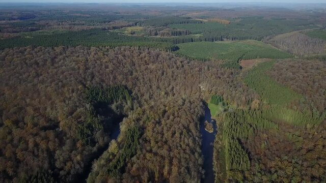 Belgique Wallonie Ardenne bois foret nature Gaume Chiny Semois riviere