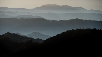 Silhouette von Wald Hügel Berge Landschaft im Schwarzwald, mit Nebel am Morgen - obrazy, fototapety, plakaty