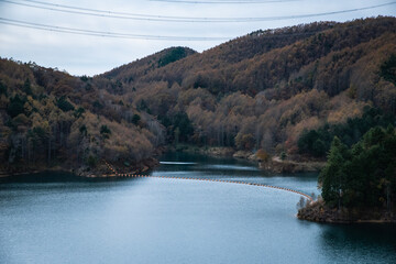 Fototapeta premium 紅葉の風景