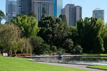 Sydney Australia, view across pond in the Royal Botanic Gardens  to the city skyline