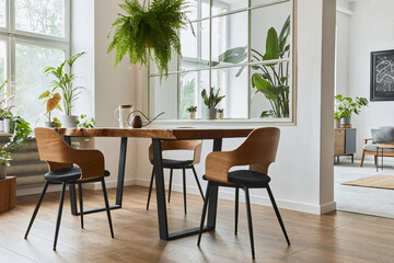 Stylish and cozy interior of dining room with design craft wooden table, chairs, plants, velvet sofa, poster map and elegant accessories in modern home decor. Template.