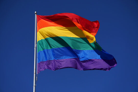 LGBT pride flag or Rainbow pride flag include of Lesbian, gay, bisexual, and transgender flag of LGBT organization. image from Castro District, San Francisco Californian in the United States