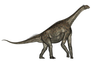 Atlasaurus dinosaurs walking isolated in white background - 3D render © Elenarts