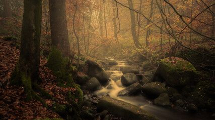 Waterfall at Strikes Wood