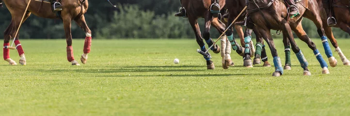 Rolgordijnen Playing equestrian polo. There are many horse legs and a group of riders in attack with a hammer. © Naletova