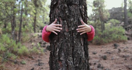 Young woman hugging a tree into the wood - Love for nature, green and enviromental concept - Slow Motion
