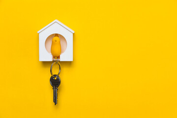 Yellow bird keychain at home with yellow background
