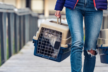 Woman carrying her cat's in a special plastic cage or pet travel carrier. Moving a cat to a new...