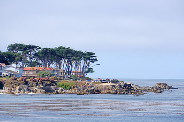 Landscape natural Monterey Bay, California USA - Park and outdoor traveling scene 