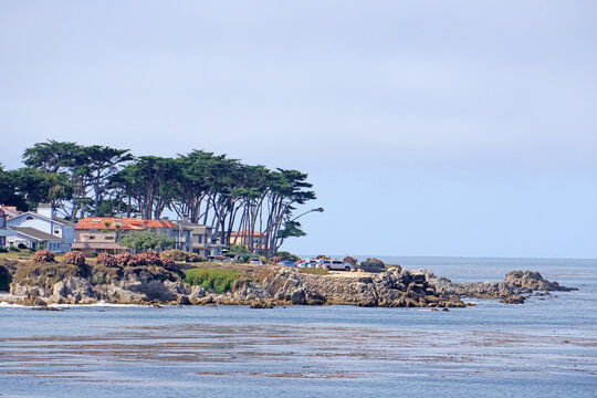 Landscape natural Monterey Bay, California USA - Park and outdoor traveling scene 