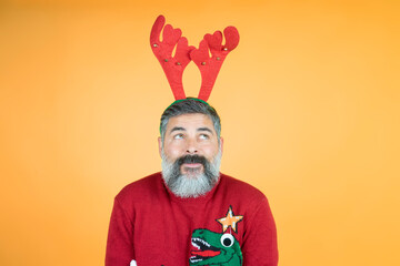 Portrait of man looking at horns head with interest wearing knitted bridge, isolated color background