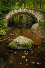 Gorges de la Monne - Auvergne - France