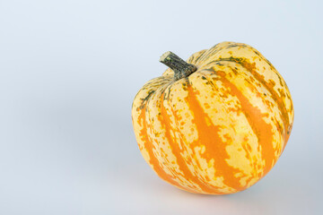 Yellow colored pumpkins on a white background