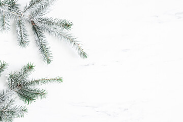 Christmas composition. Fir tree branches on marble background. Christmas, winter, new year concept....