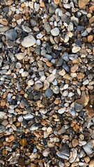 pebbles on the beach