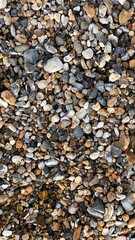 pebbles on the beach