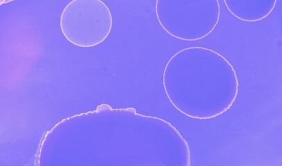 Abstract Paint Background. Pink Watercolor Trendy 