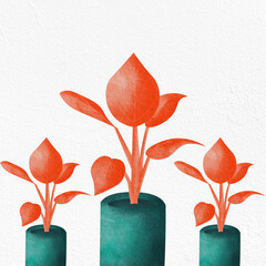 Orange plant in big pots