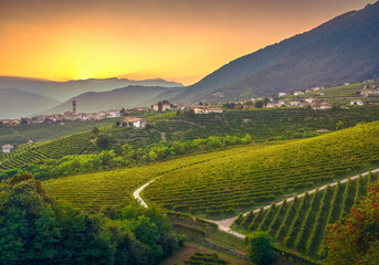 Fototapeta premium Prosecco Hills, vineyards and San Pietro di Barbozza village. Valdobbiadene, Veneto, Italy