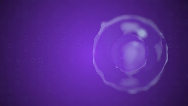4k video of medically accurate illustration of human cells.