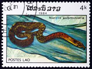 Postage stamp Laos 1984 red-necked keelback, snake