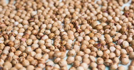 dried cherry pits texture background