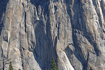 Nature surface of Half Dome Yosemite rock - Gray backdrop at Yosemite National Park Wawona Rd, California, USA          