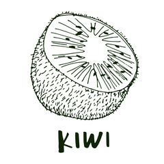 Kiwi ink drawing. Fruits. Grocery. Simple food illustration. Vector image. 