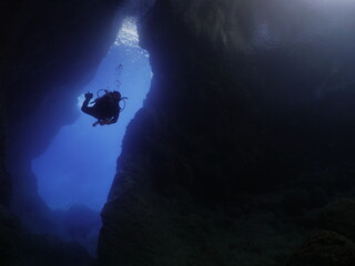 scuba divers enjoying the topography and fauna underwater ocean scenery 