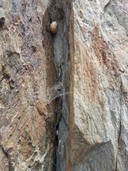 The spider web stretched between the boulders, Cadaques.