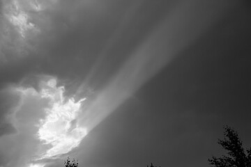 Fototapeta premium ray of sun