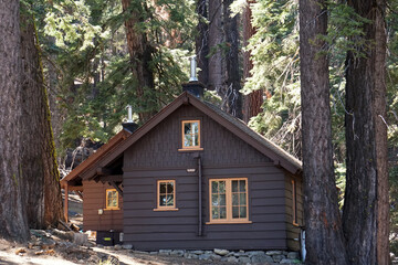 Wooden Cabin in pine tree Forest at Yosemite National park - USA - Take a rest and Travel camping concept