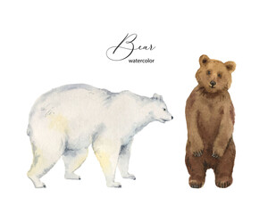 Watercolor vector set with bears isolated on a white background.