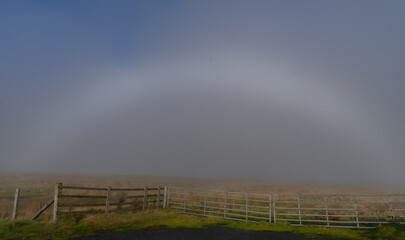 fogbow over the moor