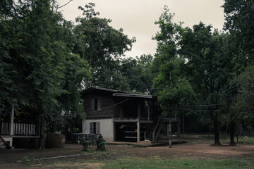 old house in the woods