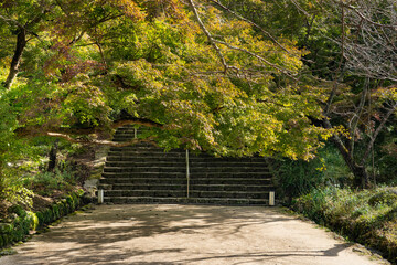 Wide stairs are in a park in Japan.