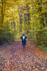 Obraz premium November 7, 2020, images from the enduro motorbike training made in the forest near Pitesti, Romania.