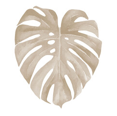 Ivory pastel monstera leaf. Heart shaped leaf. Pale tropical leaves. Neutral design for a invitation, greeting, card, postcard, textile, wrapper pattern, frame or border. Watercolour illustration