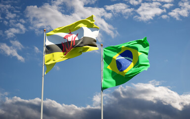 Beautiful national state flags of Brasil and Brunei.