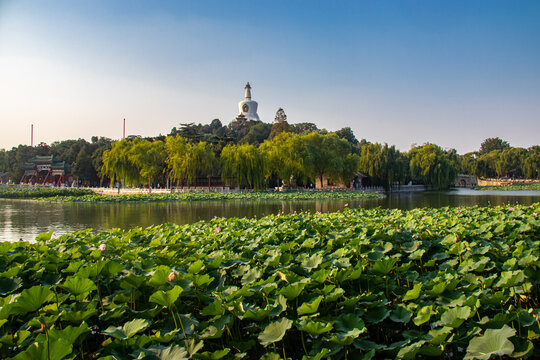 Lac du parc Beihai &agrave; P&eacute;kin, Chine