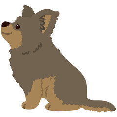 Flat colored simple and adorable Yorkshire Terrier sitting in side view illustration