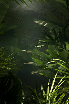fragment view of nice mist  green tropical jungle