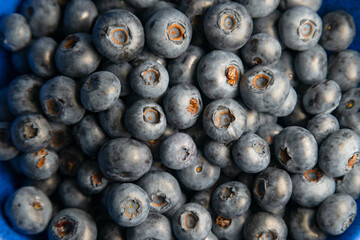 Blueberry background. Ripe blueberries close up. Organic and healthy food.
