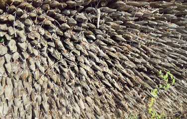 Zaunpfahl Holzpfahl Pfähle Garten